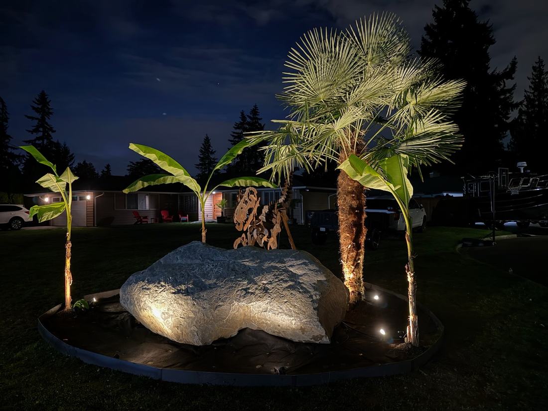 Palms planted around a large boulder with night landscape lighting